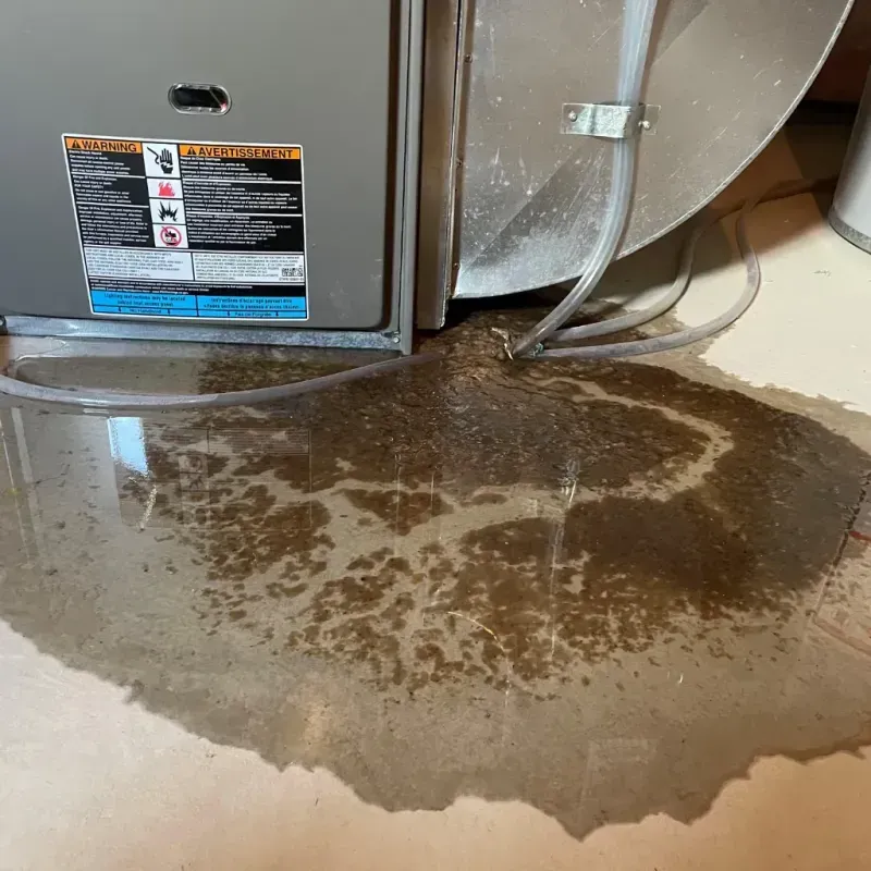 Appliance Leak Cleanup in North Plains, OR